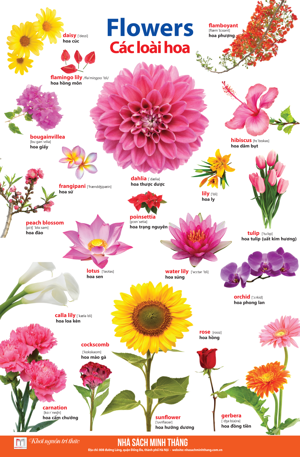 bộ learing english by pictures - học tiếng anh bằng hình ảnh - tập 2 (tái bản 2023)