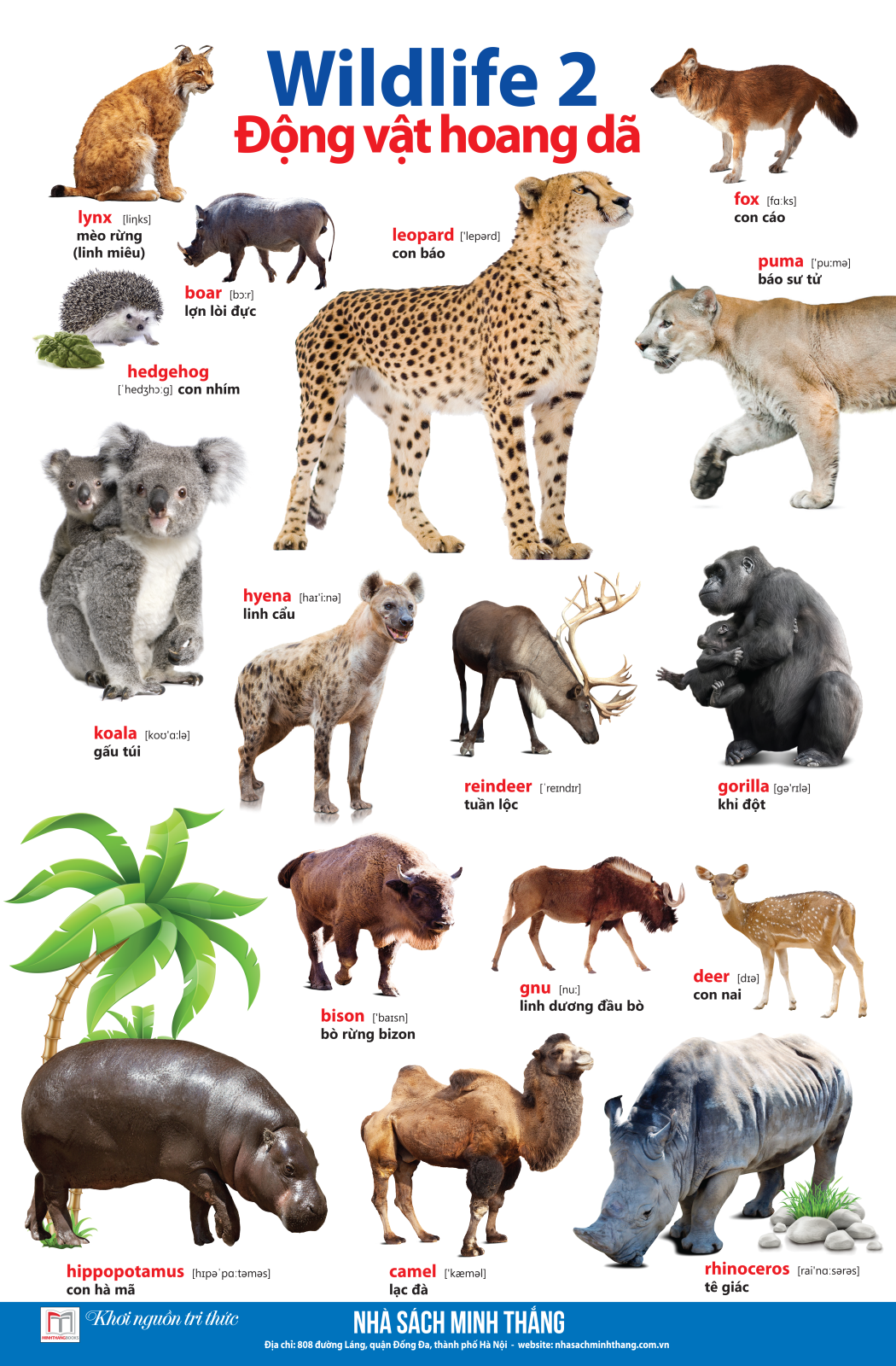 bộ learing english by pictures - học tiếng anh bằng hình ảnh - tập 2 (tái bản 2023)