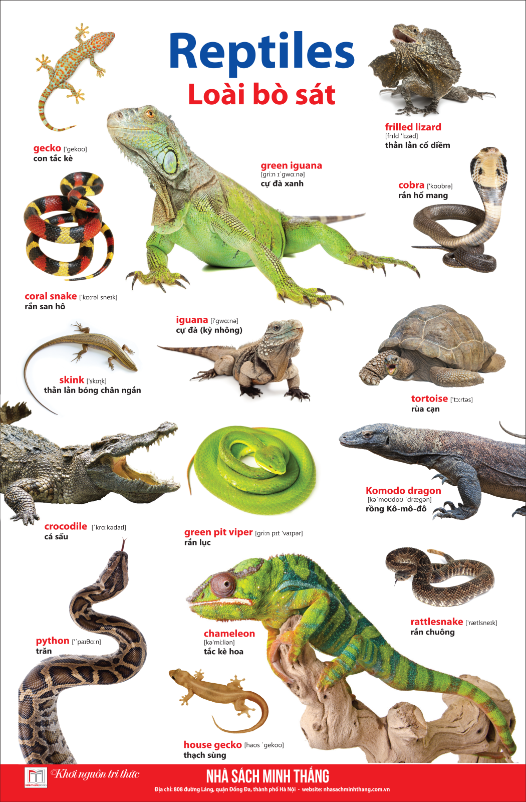 bộ learing english by pictures - học tiếng anh bằng hình ảnh - tập 2 (tái bản 2023)