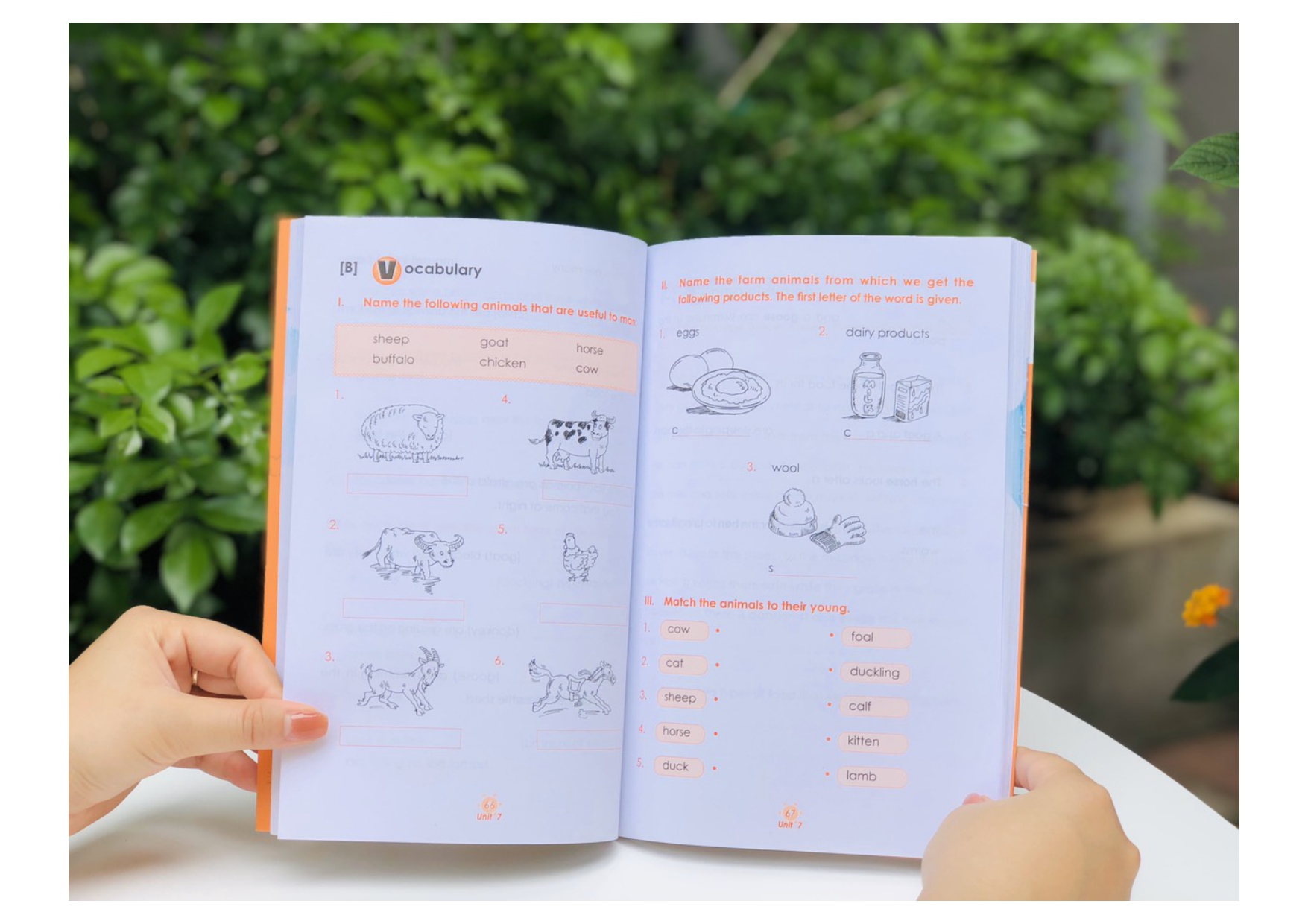 bộ learning english 1 - wordbook