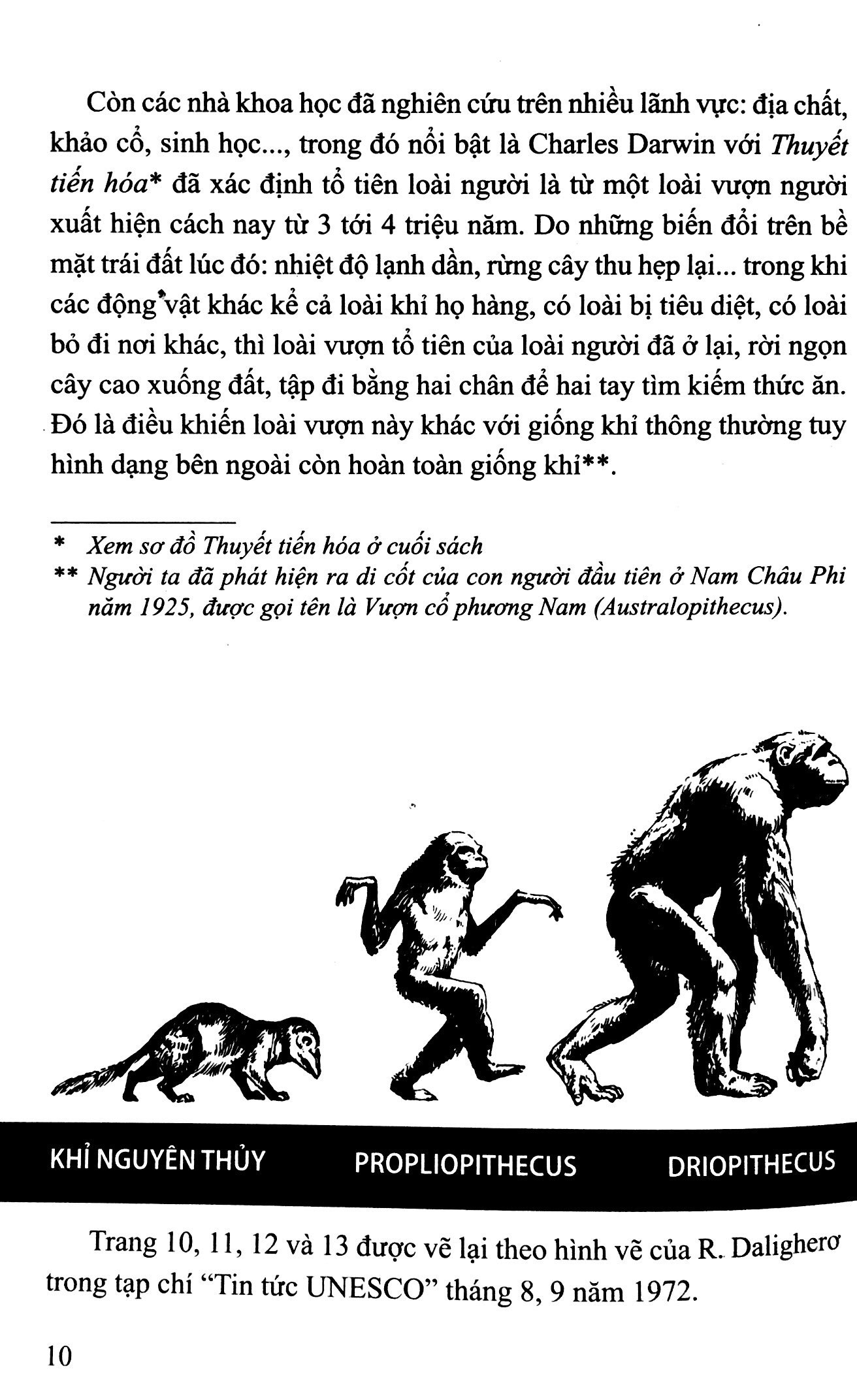 bộ lịch sử việt nam bằng tranh 01: người cổ việt nam (tái bản 2022)