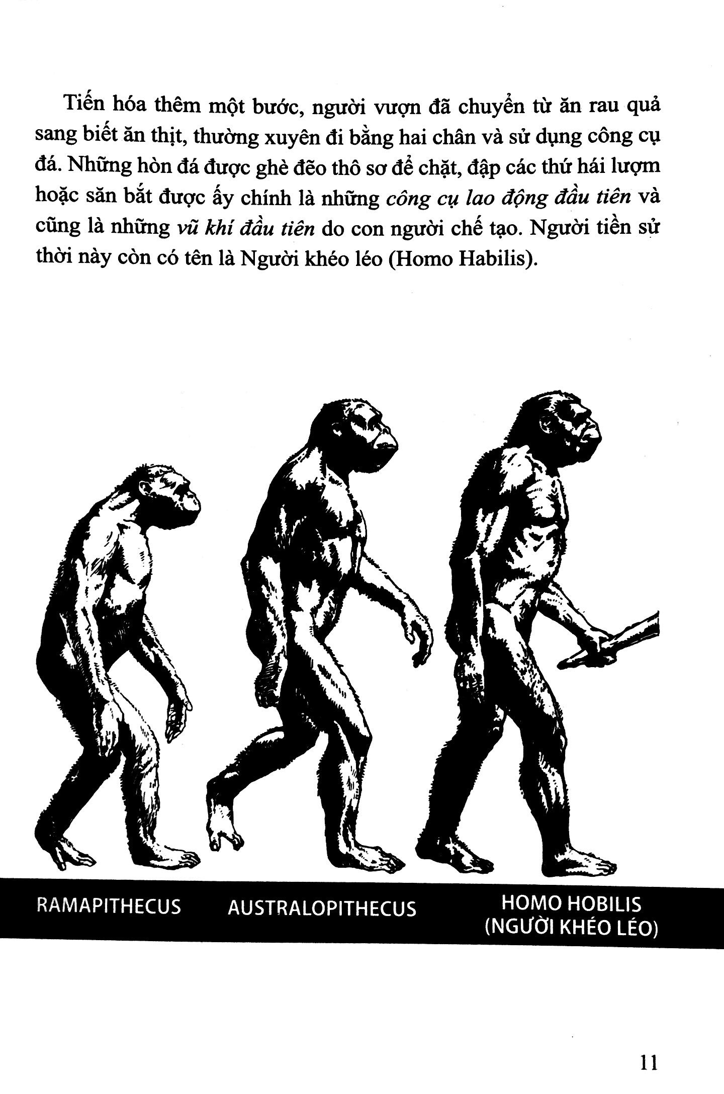 bộ lịch sử việt nam bằng tranh 01: người cổ việt nam (tái bản 2022)