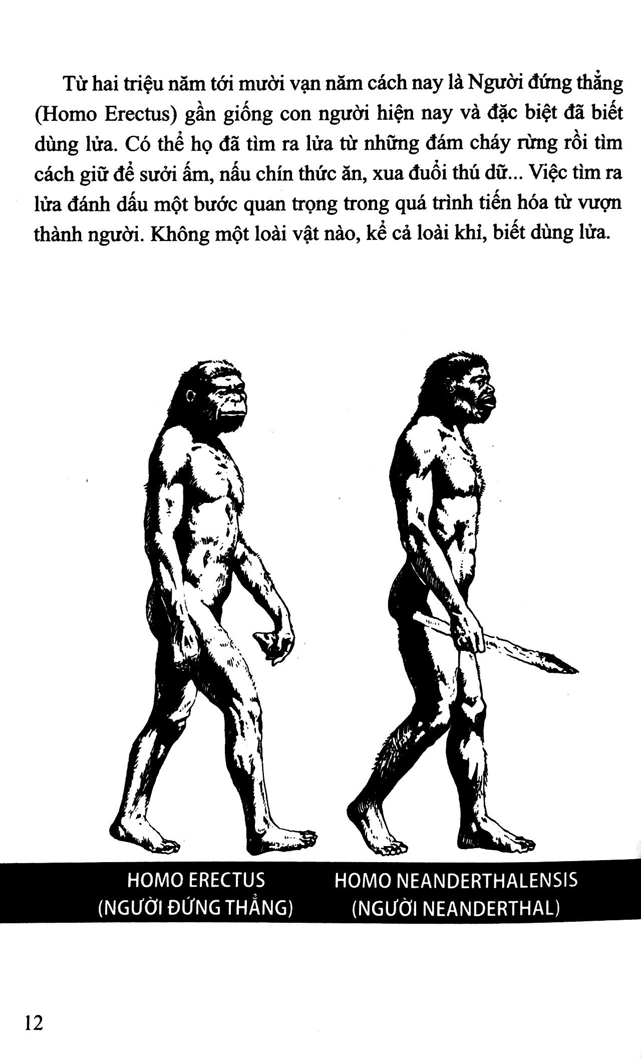 bộ lịch sử việt nam bằng tranh 01: người cổ việt nam (tái bản 2022)