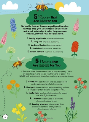 bộ lists for curious kids: human body: 205 fun, fascinating and fact-filled lists