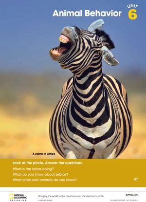 bộ look 3 student book (british english)