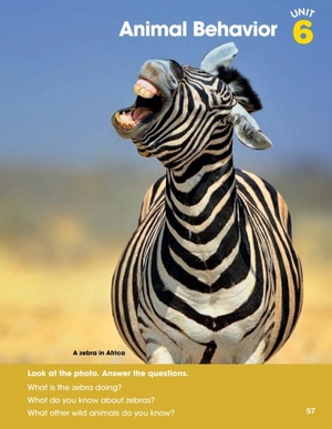 bộ look 3 student's book (look (american english))