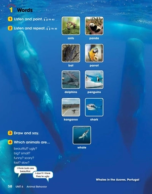 bộ look 3 student's book (look (american english))