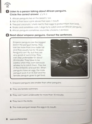 bộ look 4 - workbook with the spark platform