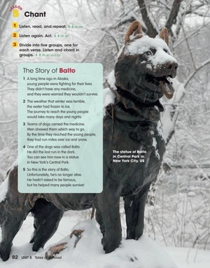 bộ look 6 (look, american english)