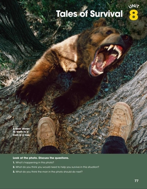 bộ look 6 (look, american english)