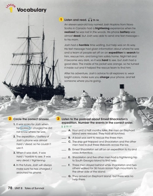 bộ look 6 (look, american english)