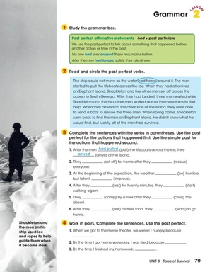 bộ look 6 (look, american english)