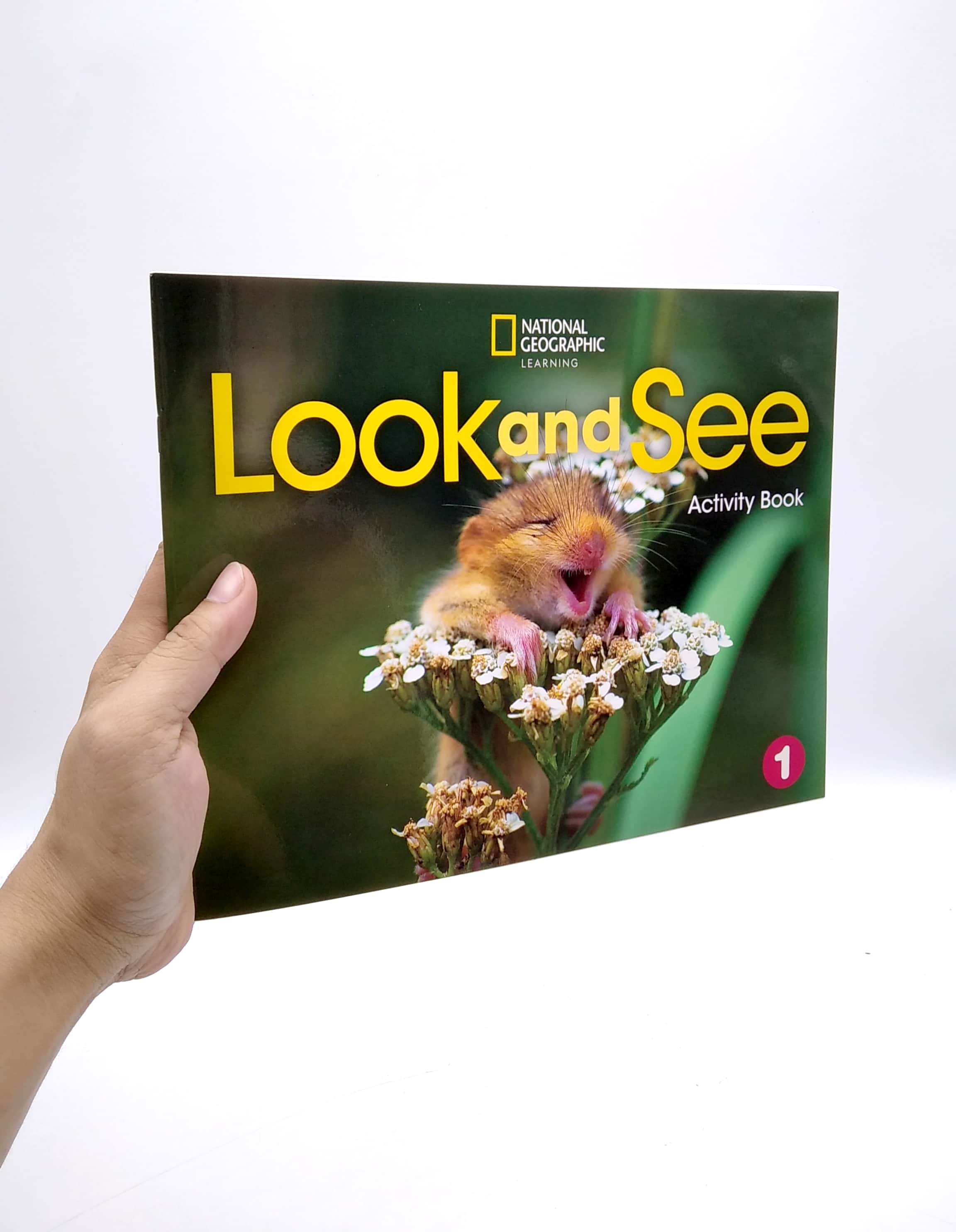 bộ look and see ame 1: activity book