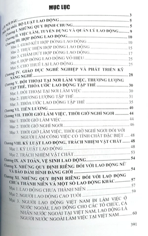 bộ luật lao động và hệ thống thang bảng lương, phụ cấp, chế độ tiền thưởng đối với người hưởng lương làm việc trong các cơ quan, đơn vị và doanh nghiệp