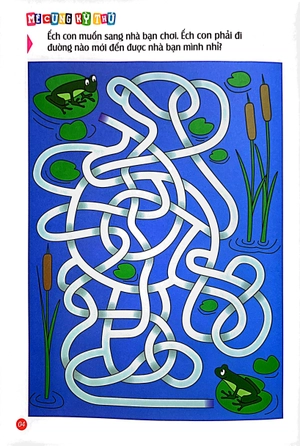 bộ mê cung kỳ thú - kích thích phát triển trí tuệ - quyển 2 (từ 2-8 tuổi)