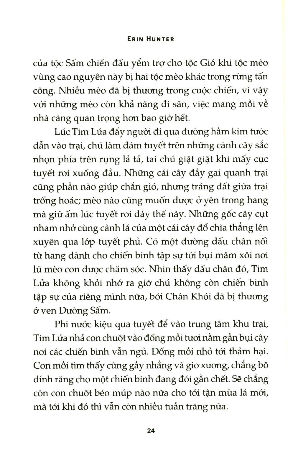bộ mèo chiến binh - bí mật rừng sâu