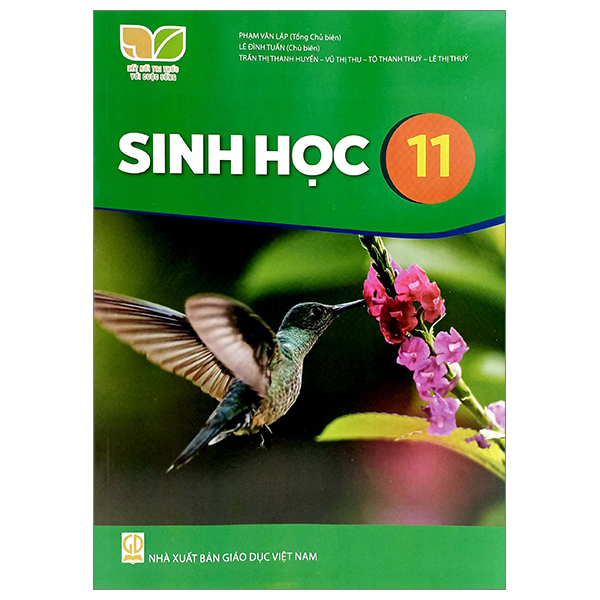 Bộ Mĩ Thuật 11 - Đồ Hoạ (Tranh In) (Kết Nối) (Chuẩn) - Ảnh 38
