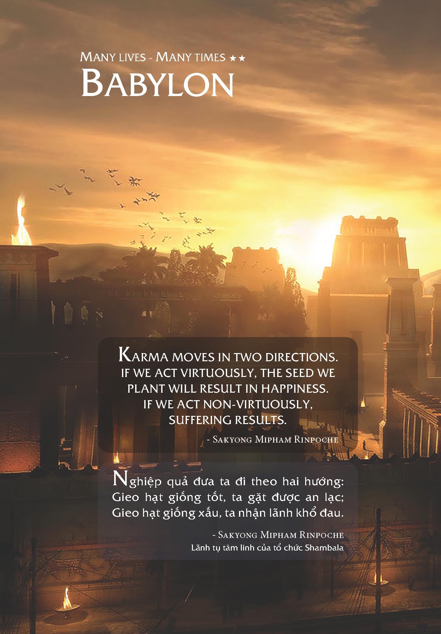 bộ muôn kiếp nhân sinh - many times, many lives - tập 2 (bìa cứng - khổ lớn)