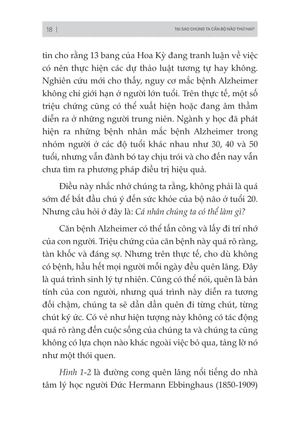 bộ não thứ hai - tương lai của sự kết hợp giữa não bộ và công nghệ
