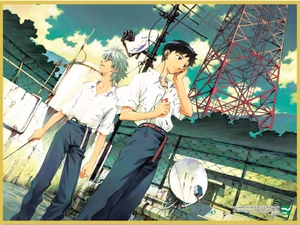 bộ neon genesis evangelion - collectorℹs edition - tập 6 - tặng kèm shikishi nhân vật shinji và kaworu