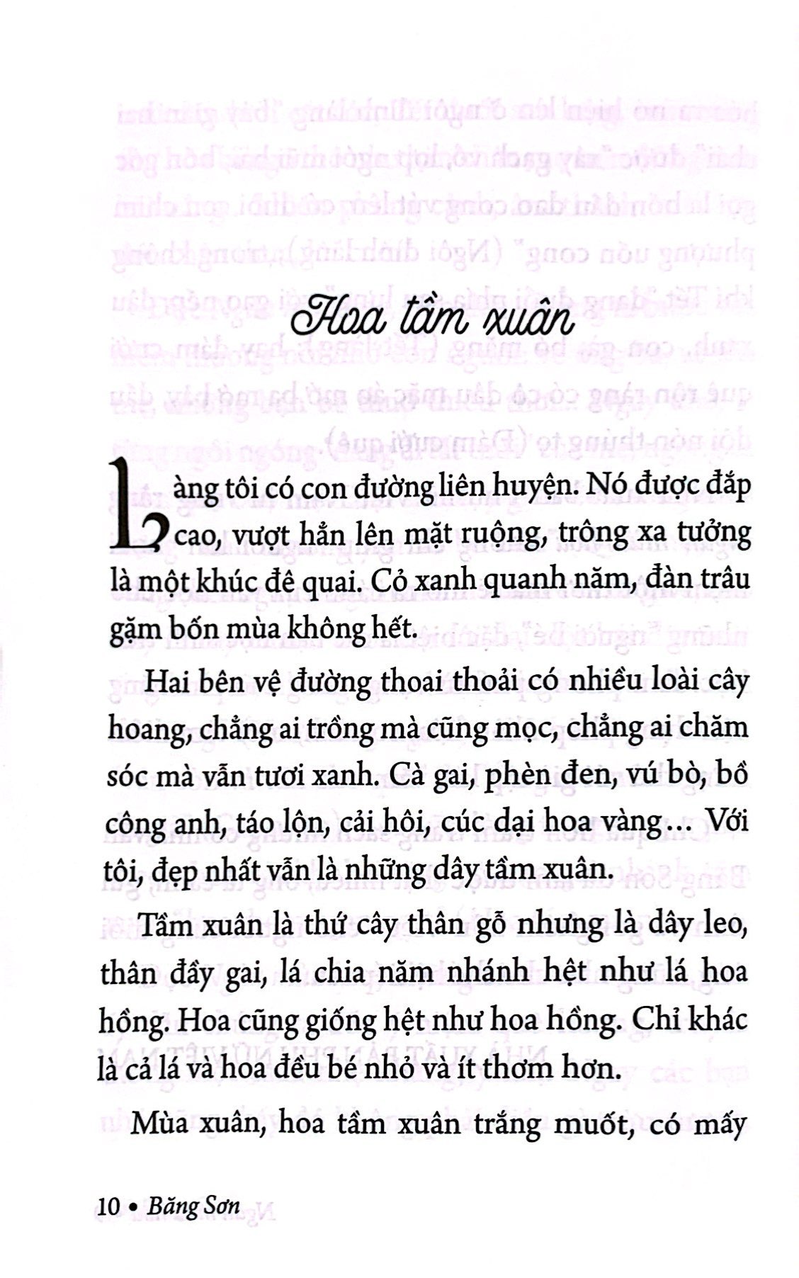 Bo
						
										
										Ngan Mua Hoa - Net Dep Thien Nhien