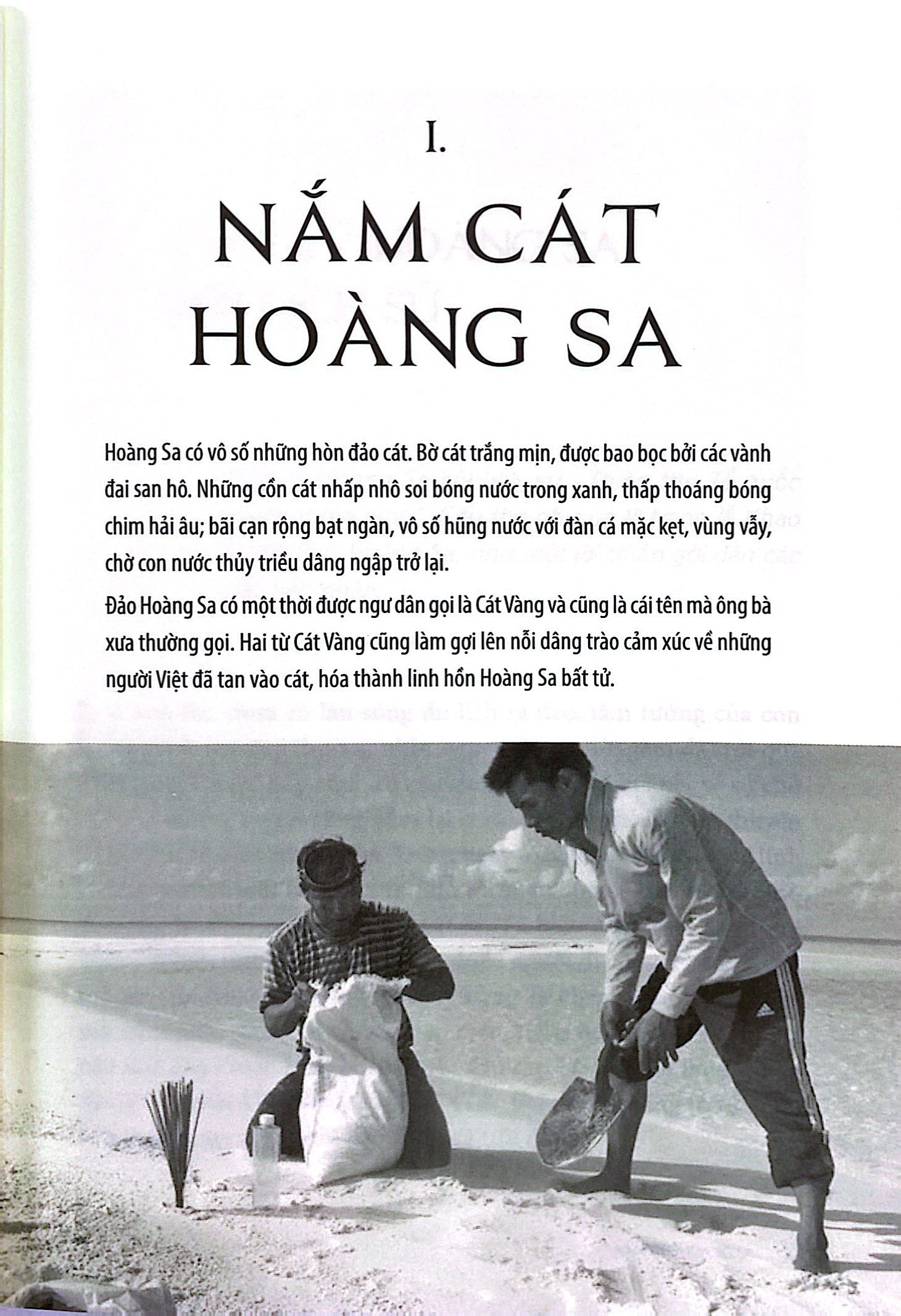 bộ như cây phong ba trên đảo hoàng sa - tập 1: trên quê hương hải đội hoàng sa (2022)