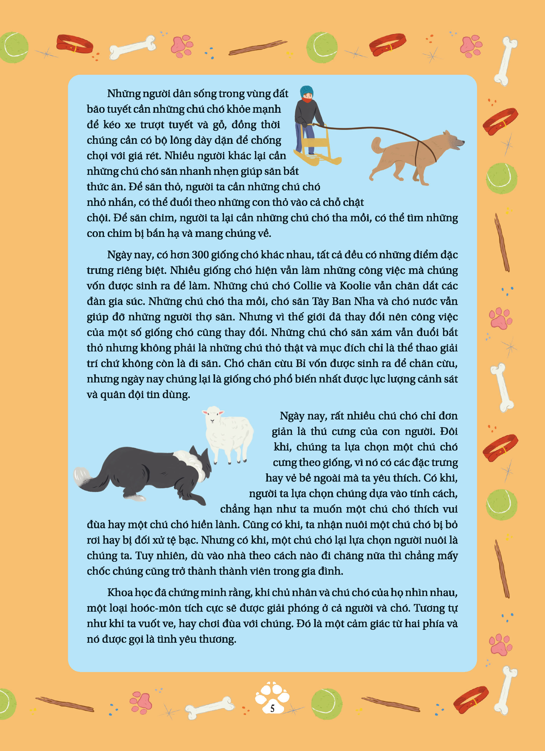 bộ những câu chuyện về loài mèo + những câu chuyện về loài chó (bộ 2 cuốn)