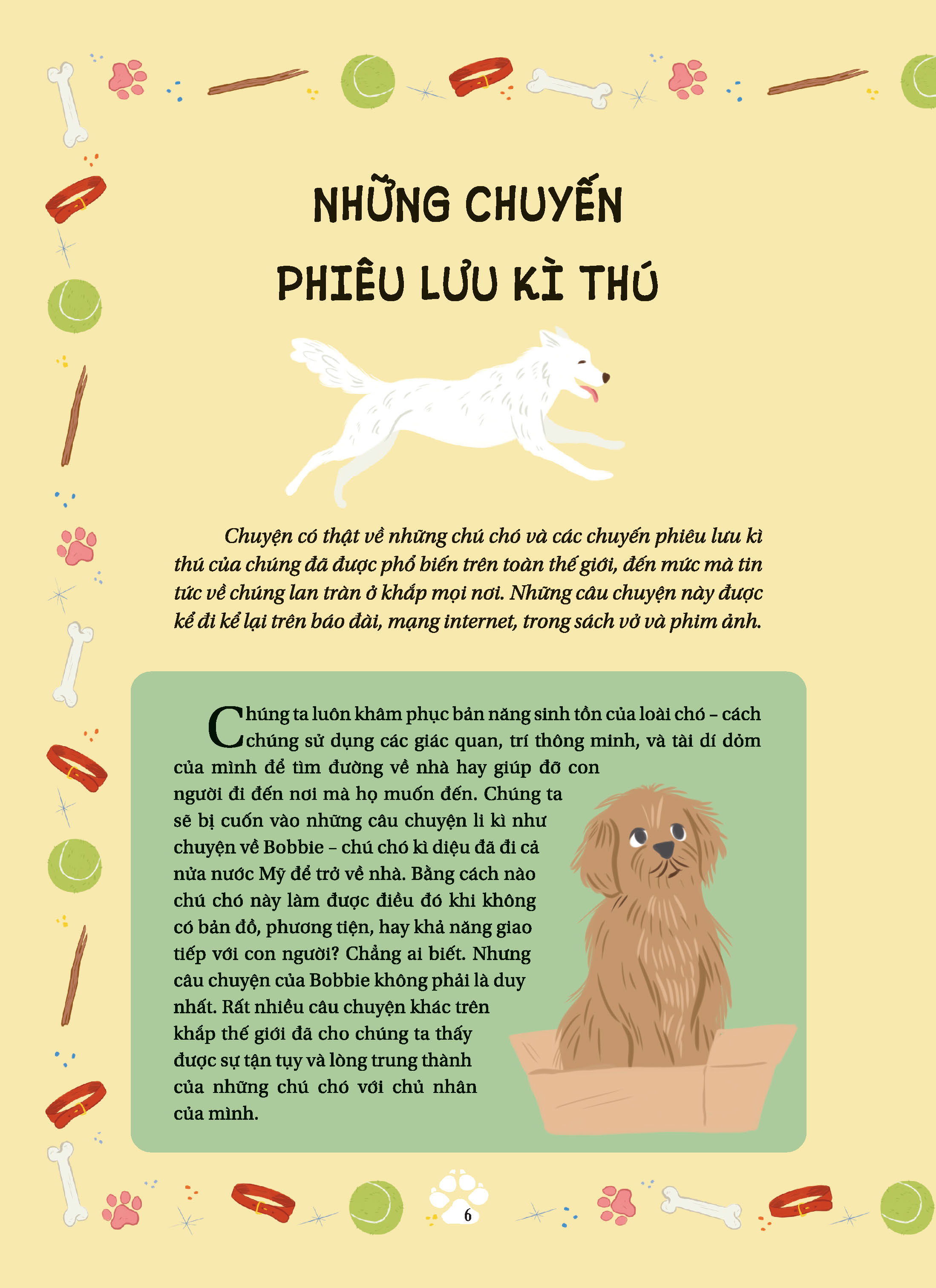 bộ những câu chuyện về loài mèo + những câu chuyện về loài chó (bộ 2 cuốn)