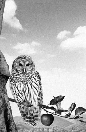 bộ of blood and bone: chronicles of the one, book 2