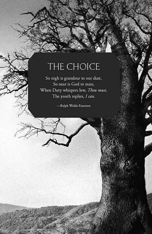 bộ of blood and bone: chronicles of the one, book 2