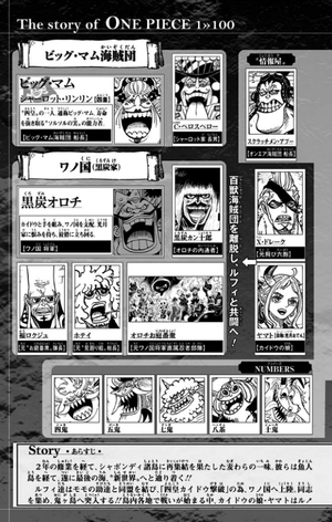 bộ one piece 100