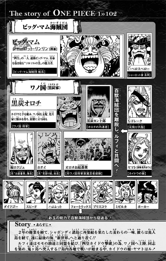 bộ one piece 102