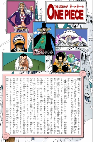 bộ one piece 17