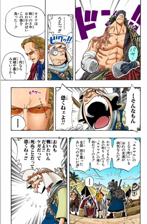 bộ one piece 19