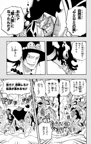 bộ one piece 46