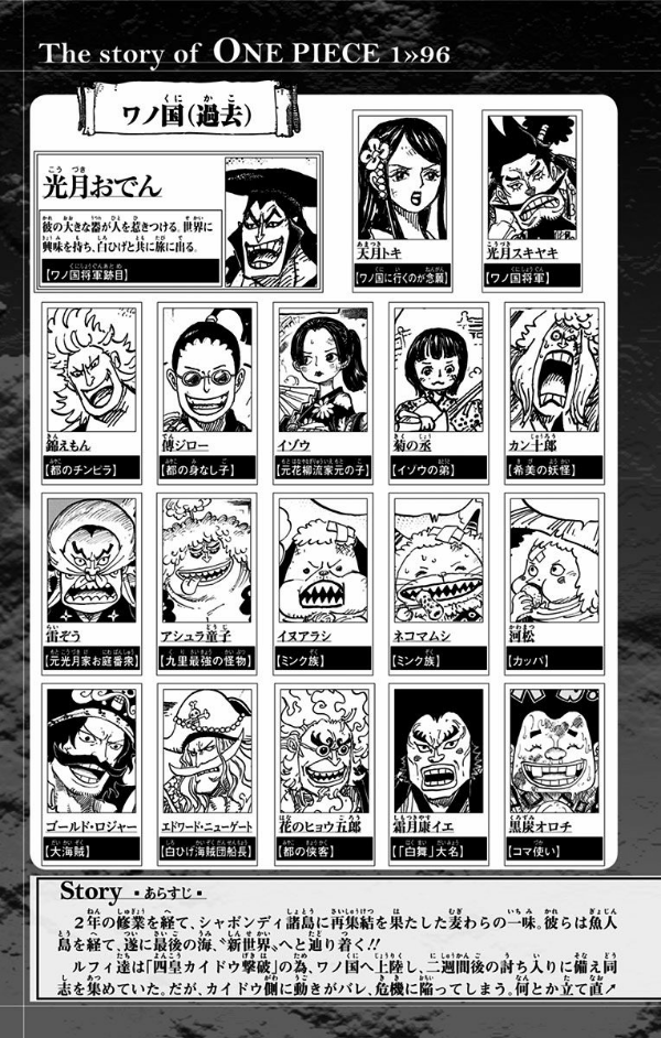 bộ one piece 96