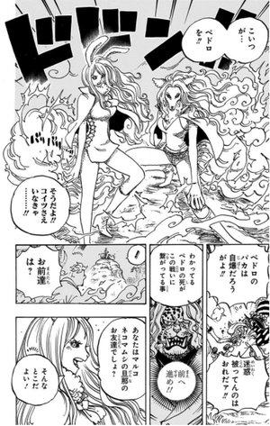 bộ one piece 99