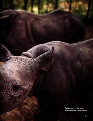 bộ our world american english 3: student's book with online practice 2nd edition