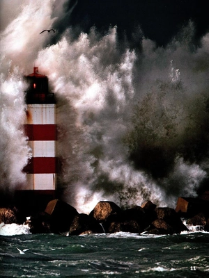 bộ our world american english 5: student's book with online practice 2nd edition