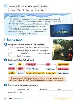 bộ oxford discover 2nd edition: level 2: grammar book