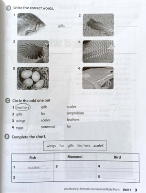 bộ oxford discover: level 2: workbook with online practice - 2nd edition