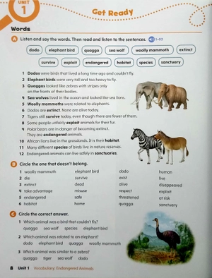 bộ oxford discover: level 5: student book pack, 2nd edition