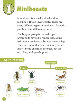 bộ oxford read and discover 3 amazing minibeasts