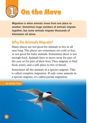 bộ oxford read and discover 5 great migrations