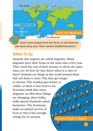 bộ oxford read and discover 5 great migrations