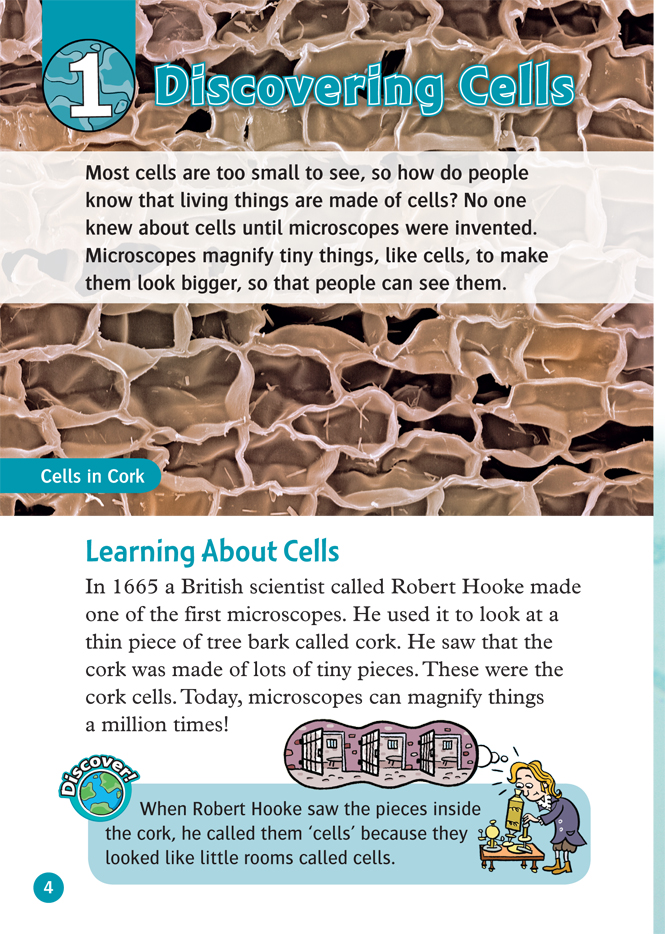 Bo
						
										
										Oxford Read and Discover 6 Cells and Microbes