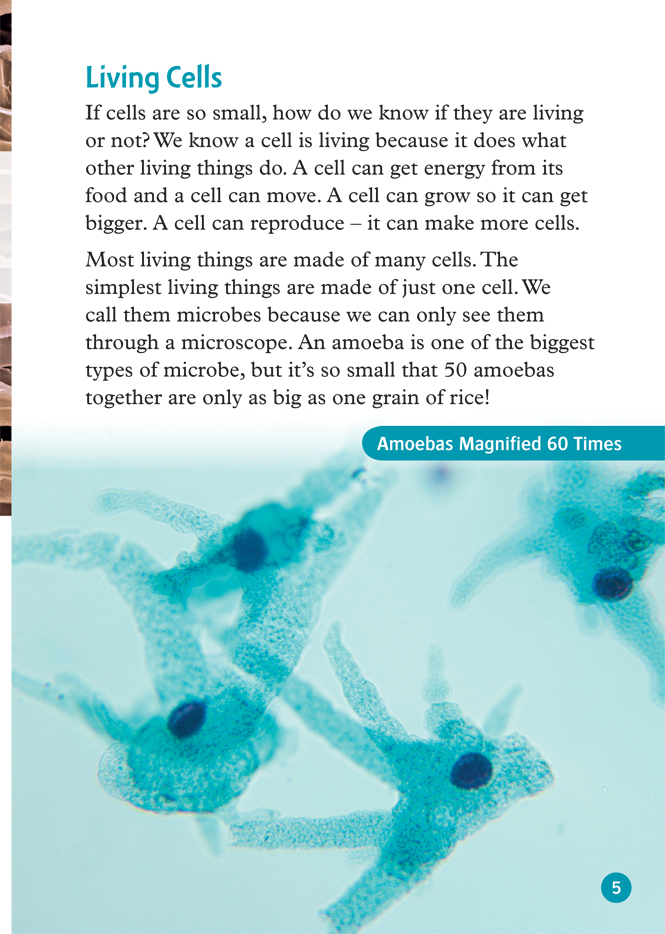 Bo
						
										
										Oxford Read and Discover 6 Cells and Microbes