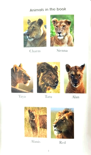 bộ penguin readers level 1: bbc dynasties: lions