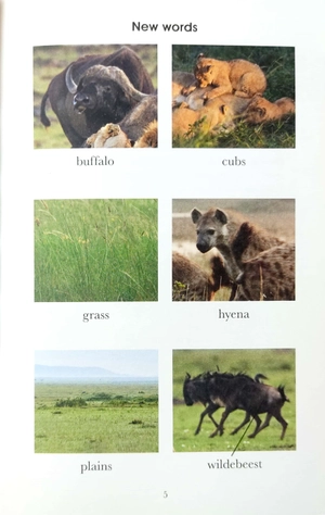 bộ penguin readers level 1: bbc dynasties: lions