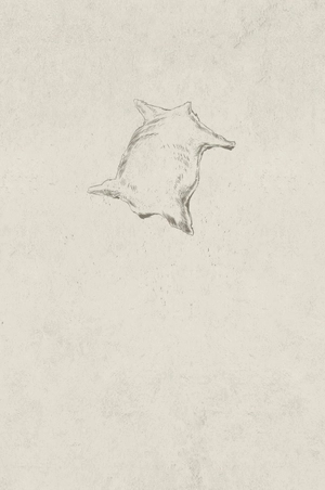 bộ percy jackson and the olympians - the graphic novel book 2: the sea of monsters